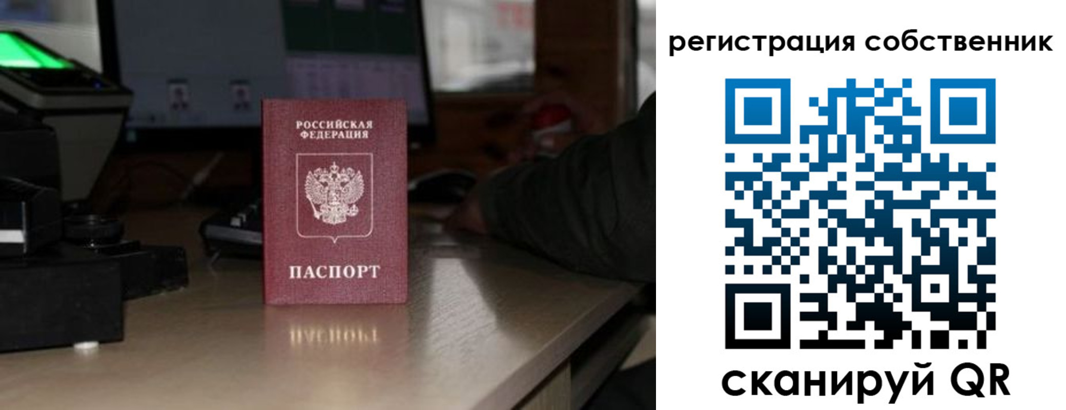 прописка поиск в Емве